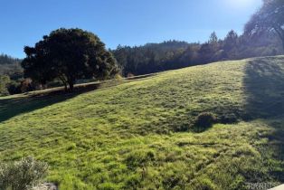 Single Family Residence,  Timber Springs court, Santa Rosa, CA 95409 - 24