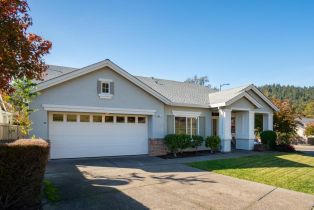 Single Family Residence,  Clover Springs drive, Cloverdale, CA 95425 - 47