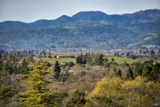 Single Family Residence,  Saint Michael circle, Napa, CA 94558 - 23