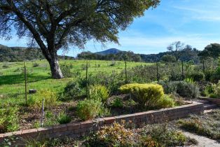 Single Family Residence,  Saint Michael circle, Napa, CA 94558 - 34