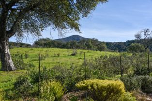 Single Family Residence,  Saint Michael circle, Napa, CA 94558 - 40