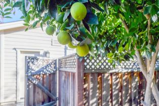 Single Family Residence,  Browns Valley road, Napa, CA 94558 - 31