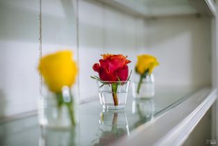 Single Family Residence,  Belfiore lane, Windsor, CA 95492 - 14