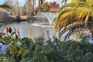 Single Family Residence,  Mission drive, Sonoma, CA 95476 - 29