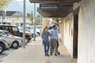 Single Family Residence,  Lobelia court, Sonoma, CA 95476 - 43