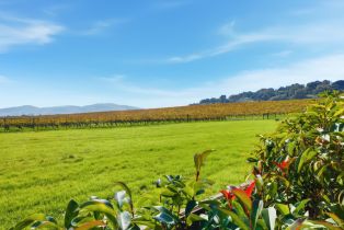 Single Family Residence,  Lobelia court, Sonoma, CA 95476 - 31