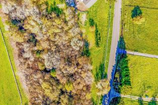 Single Family Residence,  Bodega highway, Sebastopol, CA 95472 - 38