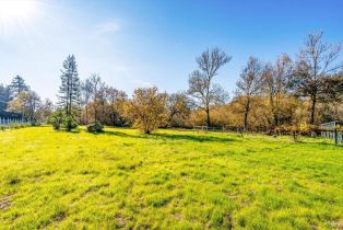 Single Family Residence,  Bodega highway, Sebastopol, CA 95472 - 45