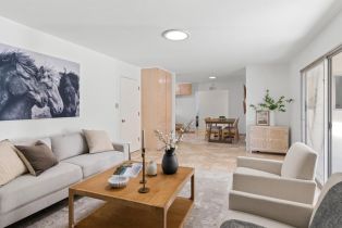 Single Family Residence,  Elm drive, Petaluma, CA 94952 - 27