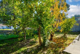 Single Family Residence,  Elm drive, Petaluma, CA 94952 - 38