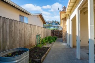 Single Family Residence,  Elm drive, Petaluma, CA 94952 - 34