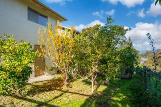 Single Family Residence,  Elm drive, Petaluma, CA 94952 - 40