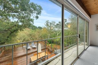 Single Family Residence,  Mountain avenue, Sonoma, CA 95476 - 28