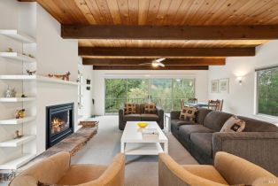 Single Family Residence,  Mountain avenue, Sonoma, CA 95476 - 27