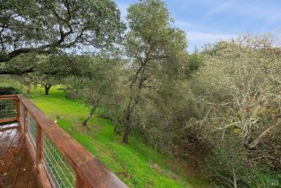 Single Family Residence,  Mountain avenue, Sonoma, CA 95476 - 38