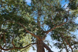 Single Family Residence,  Carr avenue, Santa Rosa, CA 95404 - 50