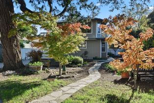 Single Family Residence,  Carr avenue, Santa Rosa, CA 95404 - 49