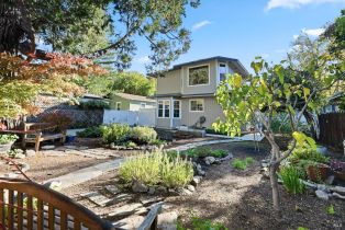 Single Family Residence,  Carr avenue, Santa Rosa, CA 95404 - 52