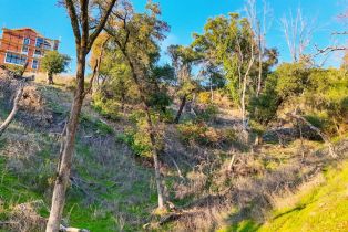 Residential Lot,  Saddle road, Glen Ellen, CA 95442 - 8