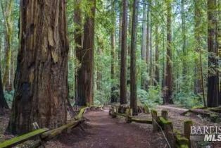 Single Family Residence, Cazadero highway, Russian River, CA 95421 - 2