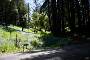 Residential Acreage,  Barnett Valley road, Sebastopol, CA 95472 - 15