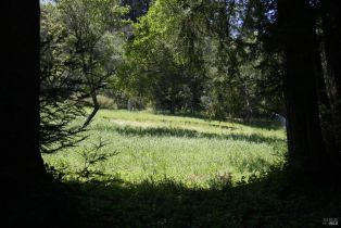 Residential Acreage,  Barnett Valley road, Sebastopol, CA 95472 - 14