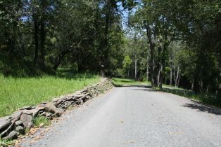 Residential Acreage,  Barnett Valley road, Sebastopol, CA 95472 - 10