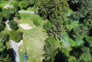 Residential Acreage,  Barnett Valley road, Sebastopol, CA 95472 - 4