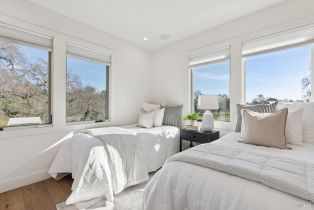 Single Family Residence,  Soda Canyon road, Napa, CA 94558 - 86