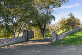 Single Family Residence,  Soda Canyon road, Napa, CA 94558 - 11