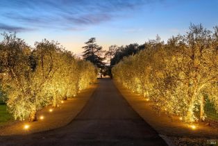 Single Family Residence,  Soda Canyon road, Napa, CA 94558 - 13