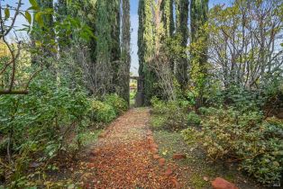 Single Family Residence, Saint Helena highway, Calistoga, CA 94515 - 67