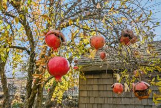 Single Family Residence, Saint Helena highway, Calistoga, CA 94515 - 60