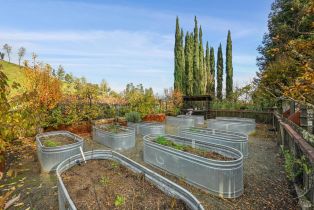 Single Family Residence, Saint Helena highway, Calistoga, CA 94515 - 11