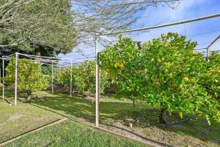 Single Family Residence, Saint Helena highway, Calistoga, CA 94515 - 61