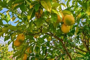 Single Family Residence, Saint Helena highway, Calistoga, CA 94515 - 62