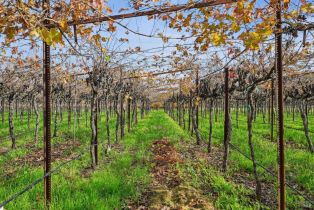 Single Family Residence, Saint Helena highway, Calistoga, CA 94515 - 66