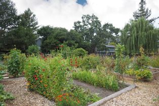 Single Family Residence,  Luna court, Santa Rosa, CA 95405 - 29