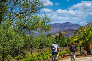 Single Family Residence,  Stevenson street, Calistoga, CA 94515 - 3