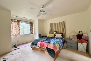 Single Family Residence,  Dry Creek road, Napa, CA 94558 - 24