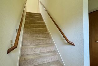 Single Family Residence,  Dry Creek road, Napa, CA 94558 - 17