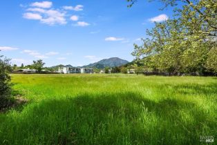 Residential Lot,  Brannan street, Calistoga, CA 94515 - 9
