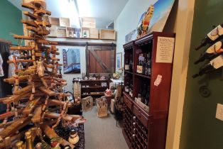 Single Family Residence,  Hwy 116 highway, Russian River, CA 95446 - 18