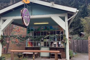 Single Family Residence,  Hwy 116 highway, Russian River, CA 95446 - 33