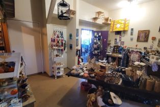 Single Family Residence,  Hwy 116 highway, Russian River, CA 95446 - 21