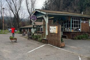 Single Family Residence,  Hwy 116 highway, Russian River, CA 95446 - 32