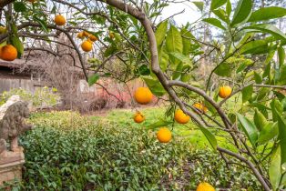 Single Family Residence, La Tierra drive, Angwin, CA 94508 - 14
