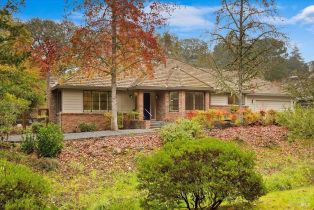 Single Family Residence, Wild Oak drive, Santa Rosa, CA 95409 - 2