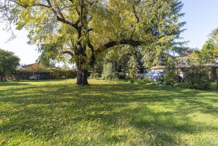 Single Family Residence, Bailhache avenue, Healdsburg, CA 95448 - 36