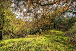Residential Lot,  Heaven Hill road, Sonoma, CA 95476 - 9